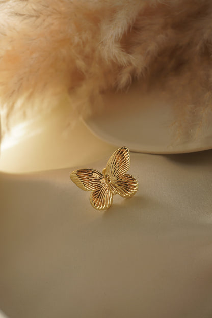 Isla Butterfly