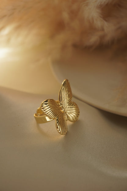 Isla Butterfly